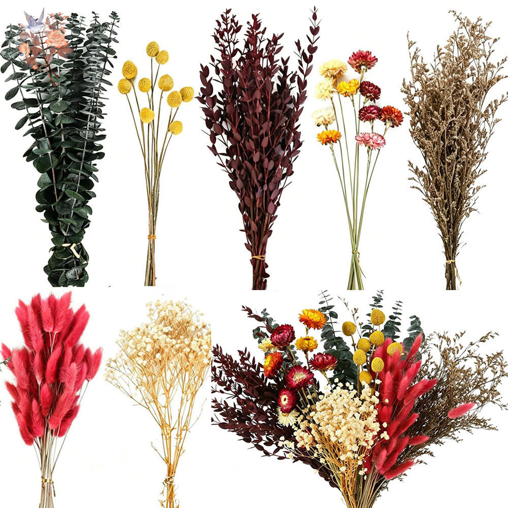 Florist Flower Supply - Dried Flowers Bulk Set 7 Kinds