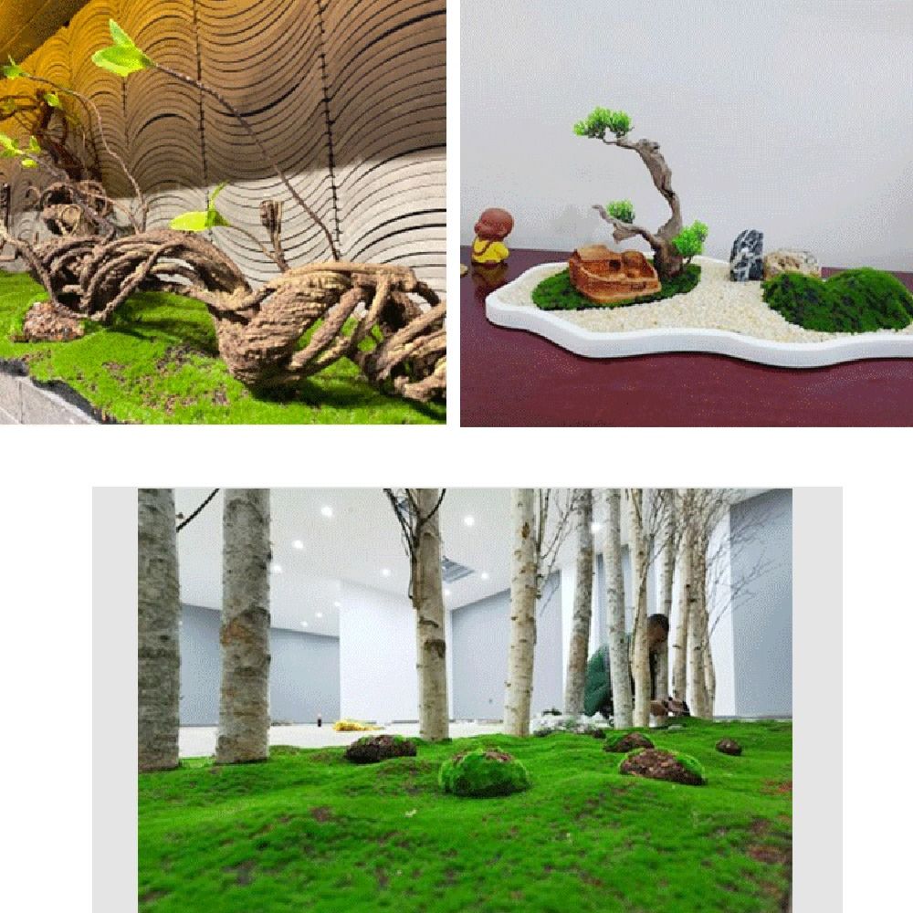 DIY Fake Moss Grass Turf Durab - Preserved Moss Sheet 评论和价格