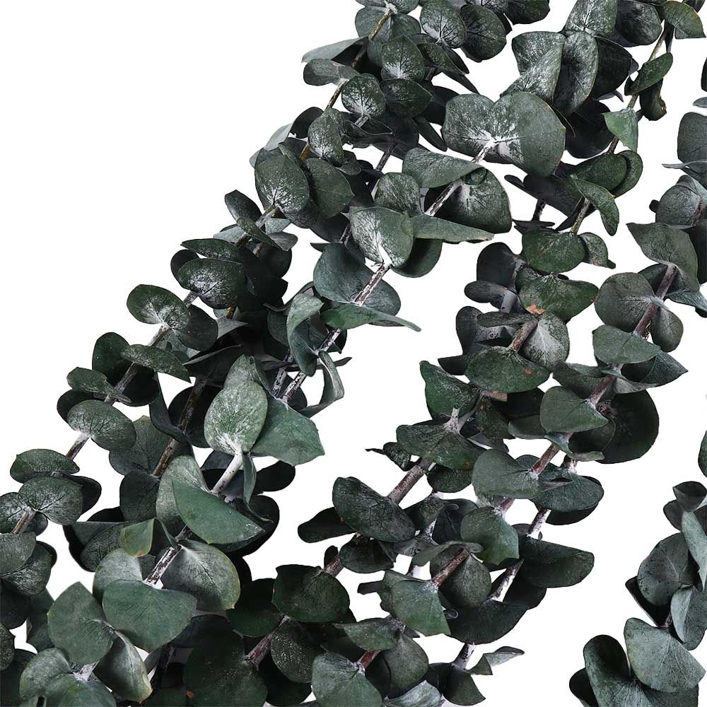 10 Pcs Real Leaves Hanging Dri - Eucalyptus Preserved 评论和价格