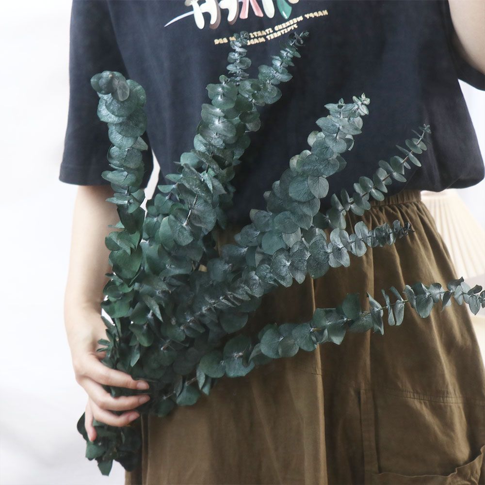 10 Pcs Real Leaves Hanging Dri - Eucalyptus Preserved 评论和价格