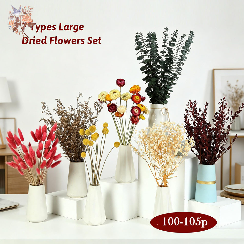 Dried Flowers Bulk Set 7 Kinds - Florist Flower Supply 评论和价格