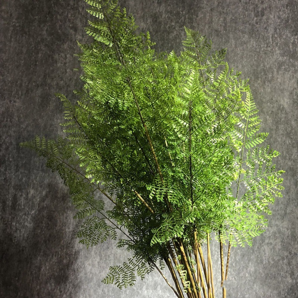 Realistic Artificial Fern Plan - Preserved Moss Sheet 评论和价格