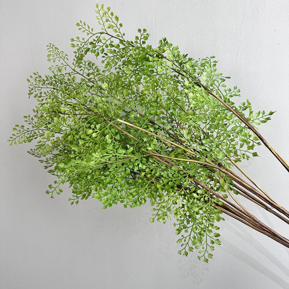 Realistic Artificial Fern Plan - Preserved Moss Sheet 评论和价格