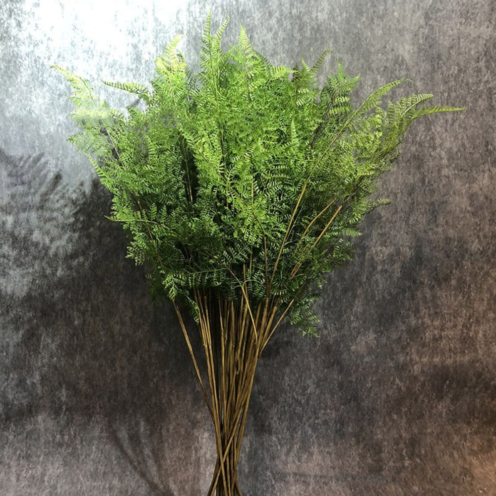 Realistic Artificial Fern Plan - Preserved Moss Sheet 评论和价格
