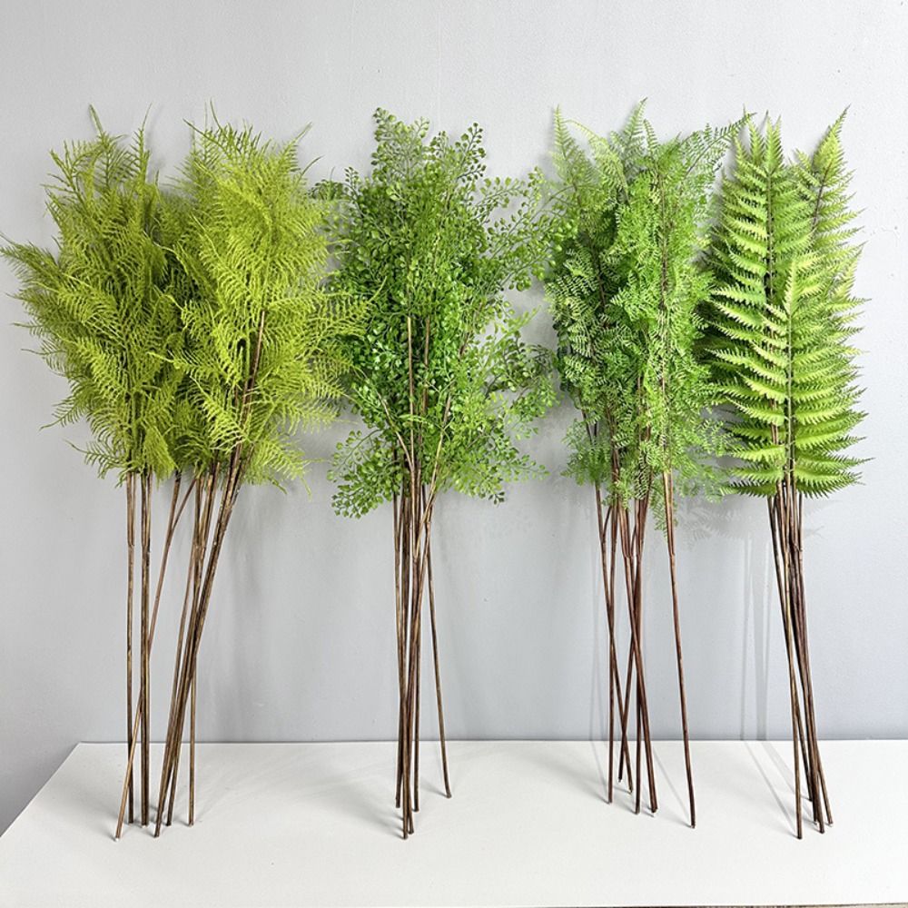 Realistic Artificial Fern Plan - Preserved Moss Sheet 评论和价格