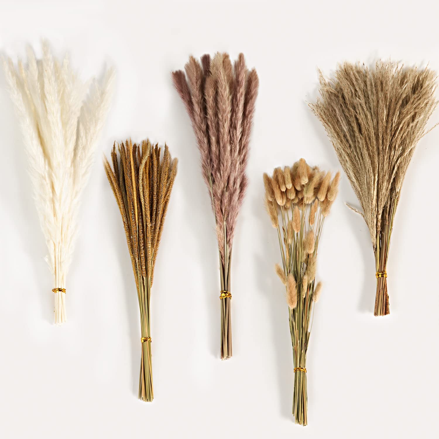 Autumn Vintage Mixed Dried Flo - Eucalyptus Preserved 评论和价格