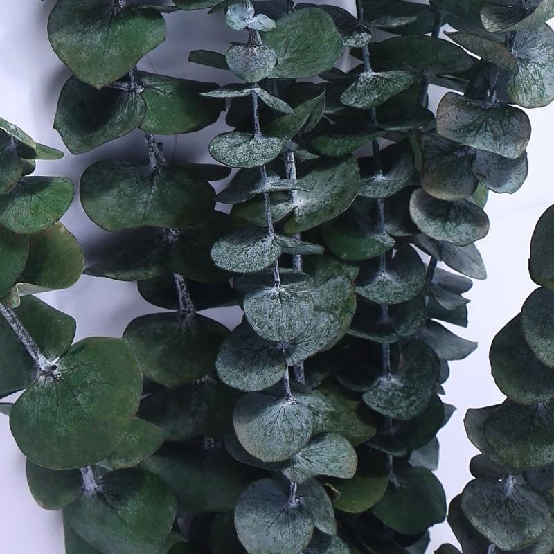 20Pcs Preserved for Fresh Euca - Eucalyptus Preserved 评论和价格